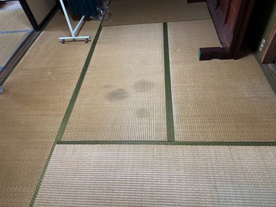 雨漏りによる居間畳汚損被害
