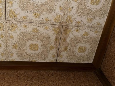 雨漏りによる廊下化粧天井汚損被害