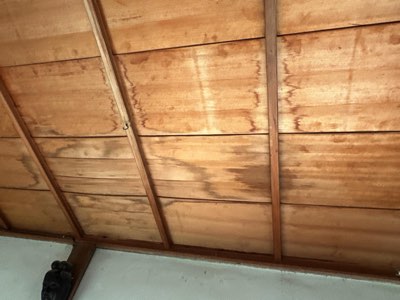 雨漏りによる和室天井汚損被害