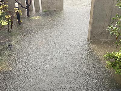 線状降水帯大雨による玄関先浸水被害